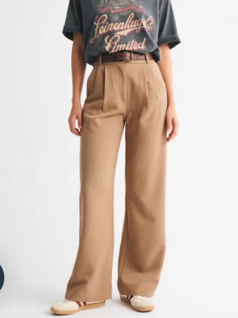 Abercrombie & Fitch Sloane Tailored Wide-Leg Dress Pants Brown Minimalist